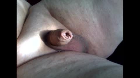 micropimmel online show from September 11, 2025, 4:51 pm