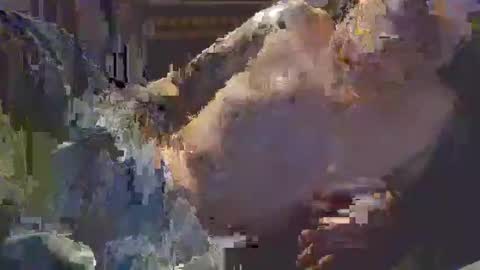 middle123456783939 online show from September 11, 2025, 6:52 pm