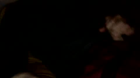 Snapshot of midiin chatting on December 10, 2024, 5:39 am midiin online show from December 10, 2024, 5:39 am