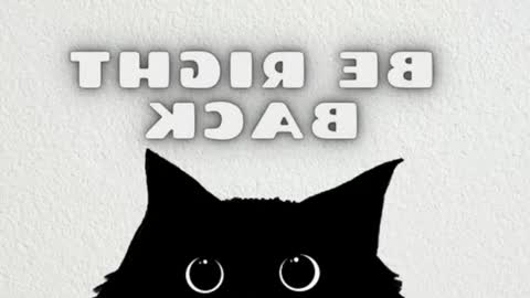 Mia online show from February 27, 2026, 9:20 am