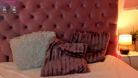 Snapshot of mikavia chatting on December 30, 2024, 5:13 pm Mika online show from December 30, 2024, 5:13 pm