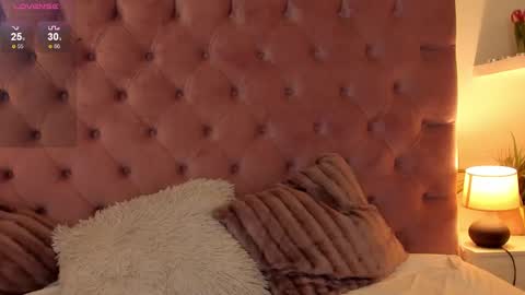 Snapshot of mikavia chatting on February 9, 2025, 9:17 pm Mika online show from February 9, 2025, 9:17 pm