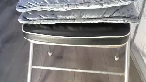 mike26051 online show from December 15, 2025, 3:27 pm