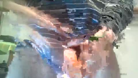  Milymen26  Polish man  master  fereskik straight mature online show from January 13, 2026, 11:32 pm