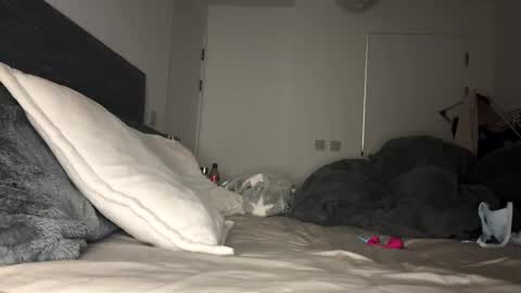 Mimi Monroe  online show from November 9, 2025, 7:01 pm