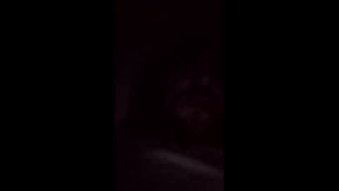 mineiro1514 online show from February 20, 2026, 6:26 am