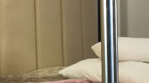 Annie  dont forget to thumbs up me  online show from January 11, 2025, 1:11 pm