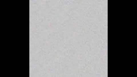 Misa online show from December 20, 2025, 8:54 am