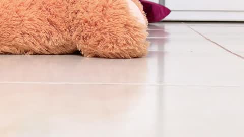 Snapshot of miss_alexxxa_ chatting on February 16, 2026, 8:16 pm Alexa online show from February 16, 2026, 8:16 pm