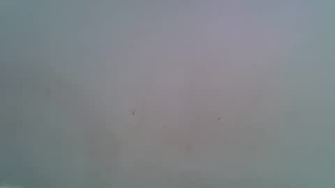 Snapshot of miss_rihanna2 chatting on February 4, 2026, 7:09 pm miss_rihanna2 online show from February 4, 2026, 7:09 pm