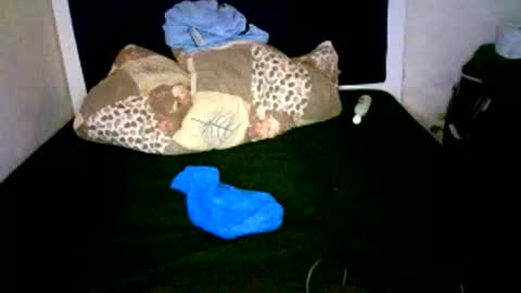 VAL online show from January 7, 2026, 8:39 am