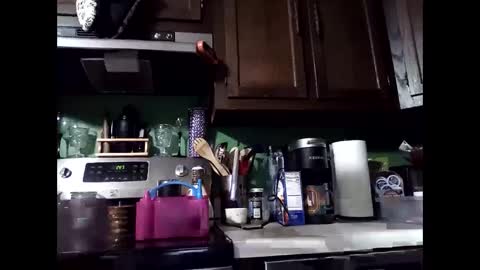 MissEeva online show from December 14, 2024, 6:46 am