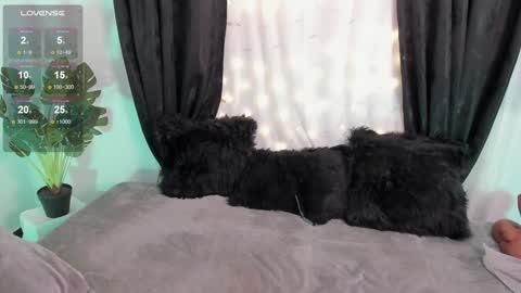 Snapshot of missmeegan_ chatting on December 6, 2024, 1:44 pm Alejandra online show from December 6, 2024, 1:44 pm