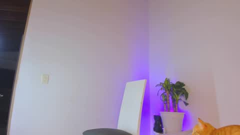 misspaulag online show from February 14, 2025, 12:41 am