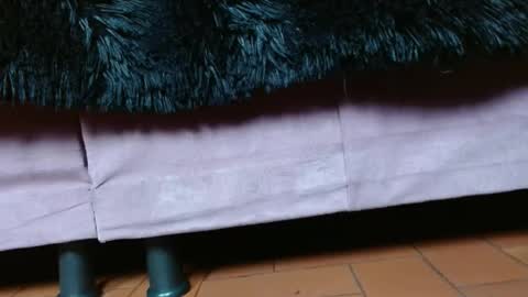 TELL ME MISS online show from February 10, 2025, 3:42 pm