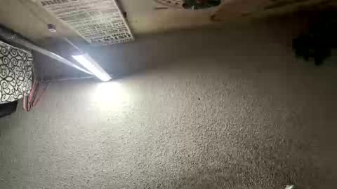 mister_nasty online show from January 12, 2026, 6:57 pm