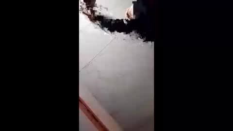 Handsome online show from February 5, 2025, 8:54 am