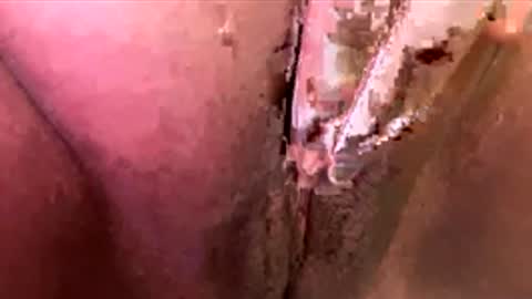 mmmtara online show from November 30, 2025, 2:48 am