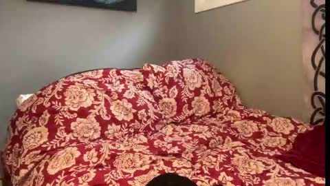 Snapshot of mntuila chatting on September 9, 2025, 12:59 pm MNTuiLa online show from September 9, 2025, 12:59 pm