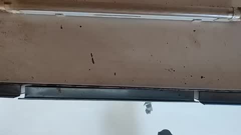 Snapshot of modelo_web18 chatting on September 24, 2025, 12:08 pm camilo online show from September 24, 2025, 12:08 pm