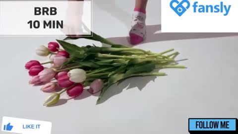 Mommy online show from December 16, 2024, 2:15 am