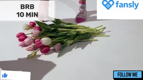 Mommy online show from December 26, 2024, 2:12 am