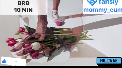 Mommy online show from January 23, 2025, 8:25 am