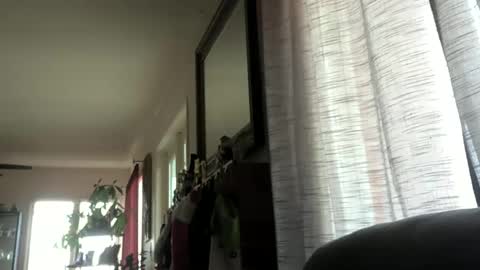 Snapshot of monkeedance chatting on December 23, 2024, 10:01 pm Monkee Dance online show from December 23, 2024, 10:01 pm