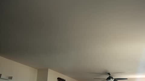 Snapshot of monkeedance chatting on January 12, 2025, 5:44 pm Monkee Dance online show from January 12, 2025, 5:44 pm