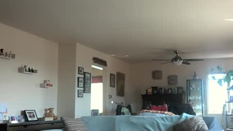 Snapshot of monkeedance chatting on March 3, 2025, 10:10 pm Monkee Dance online show from March 3, 2025, 10:10 pm