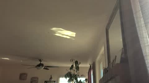 Snapshot of monkeedance chatting on November 18, 2025, 9:19 pm Monkee Dance online show from November 18, 2025, 9:19 pm