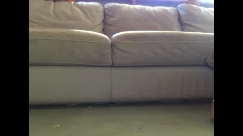 mookaite05 online show from March 3, 2025, 2:26 am