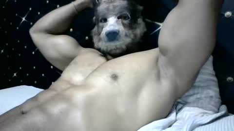 Snapshot of moreno1muscular chatting on March 4, 2025, 9:11 pm moreno1muscular online show from March 4, 2025, 9:11 pm