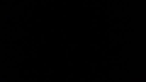 Nomadu online show from March 1, 2025, 5:49 pm