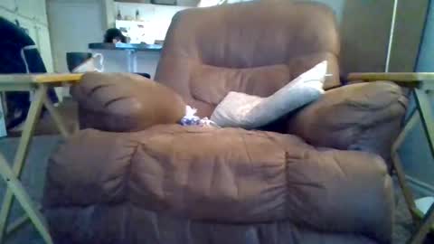 Snapshot of motodub chatting on March 1, 2025, 4:00 pm motodub online show from March 1, 2025, 4:00 pm