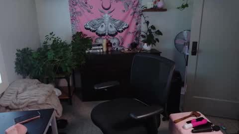 Snapshot of mousiegirl chatting on February 27, 2026, 7:47 pm Mousie online show from February 27, 2026, 7:47 pm