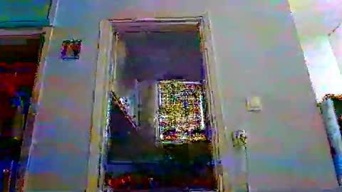 mppempis81 online show from December 5, 2025, 6:11 am