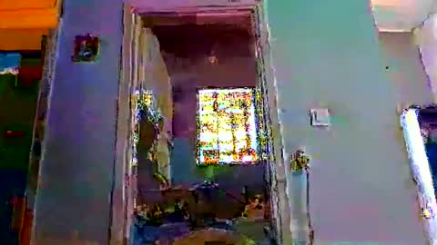 mppempis81 online show from February 1, 2026, 7:29 am