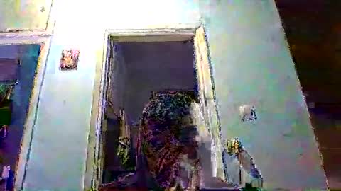 mppempis81 online show from February 4, 2026, 8:25 pm