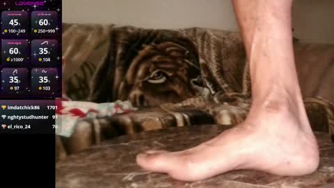 Mr. Good and Ms. Plenty online show from December 9, 2024, 6:55 am