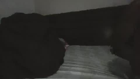 mr hooked online show from November 18, 2025, 4:06 am