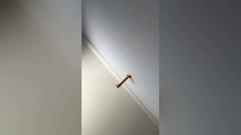 Hunter online show from February 14, 2026, 9:11 pm