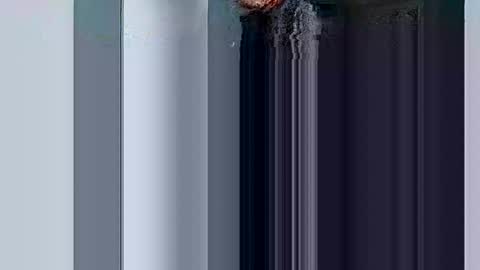 Snapshot of mr_i_ chatting on March 10, 2025, 8:37 am mr_i_ online show from March 10, 2025, 8:37 am