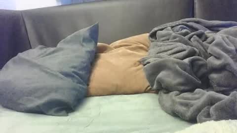 Snapshot of mranal93 chatting on October 8, 2025, 7:00 pm mranal93 online show from October 8, 2025, 7:00 pm