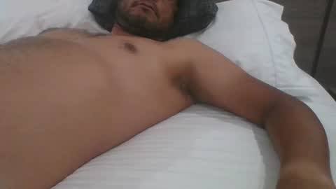 Gato online show from December 2, 2024, 8:00 pm