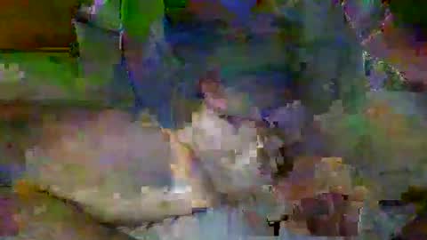 Snapshot of mre11118957 chatting on April 6, 2026, 2:09 am Mr-E online show from April 6, 2026, 2:09 am