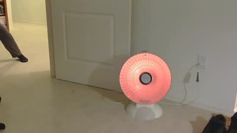 IwantU2WatchME online show from November 17, 2025, 12:33 pm