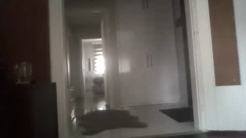 Nikola online show from March 13, 2026, 6:42 am