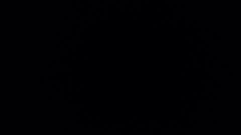 mrnofaceinyourhouse online show from November 12, 2025, 5:08 am