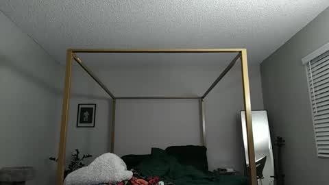 Snapshot of mrricomustachio chatting on December 6, 2024, 5:09 am Rico online show from December 6, 2024, 5:09 am